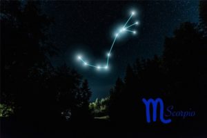 Scorpio Constellation shown in a night sky